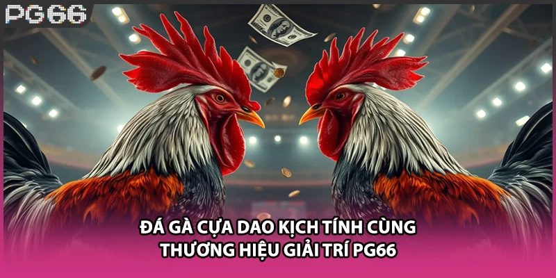 Đá Gà Cựa Dao Kịch Tính Cùng Thương Hiệu Giải Trí PG66