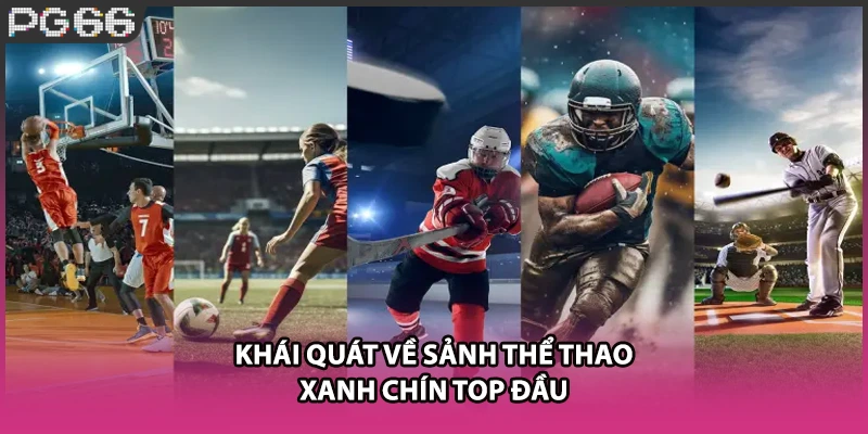Khái quát về sảnh thể thao xanh chín top đầu Khái quát về sảnh thể thao xanh chín top đầu